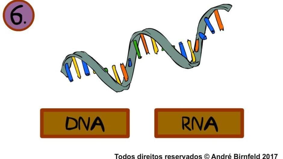 Genius Quiz Science screenshot 2