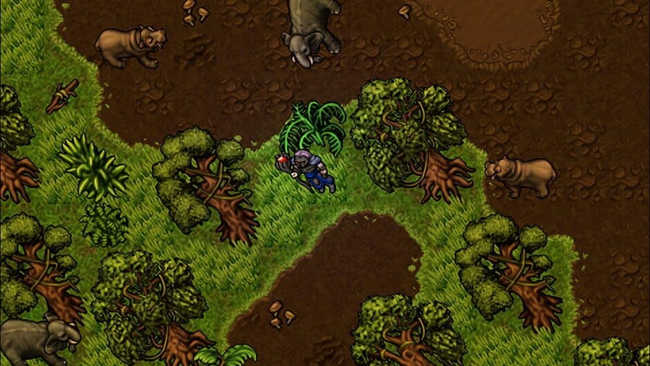 Medivia Online screenshot 1