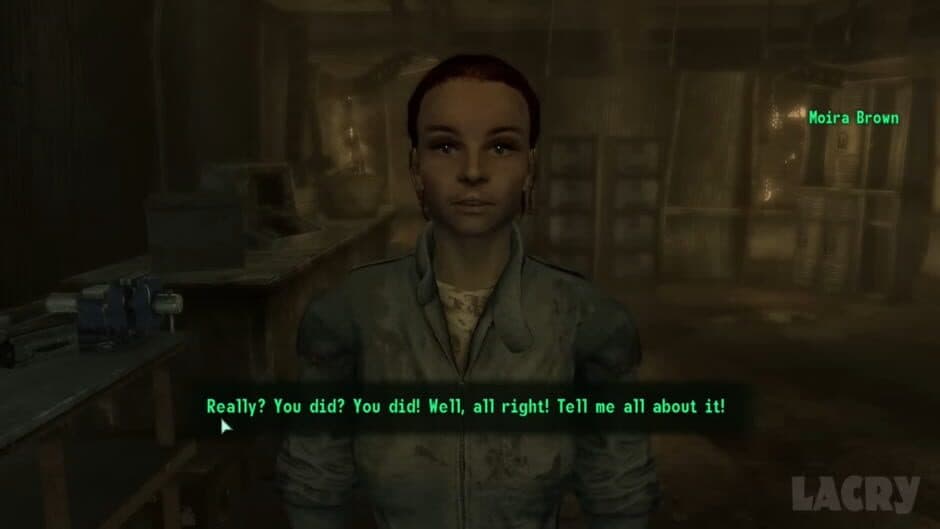 Fallout 3: Collector's Edition screenshot 4