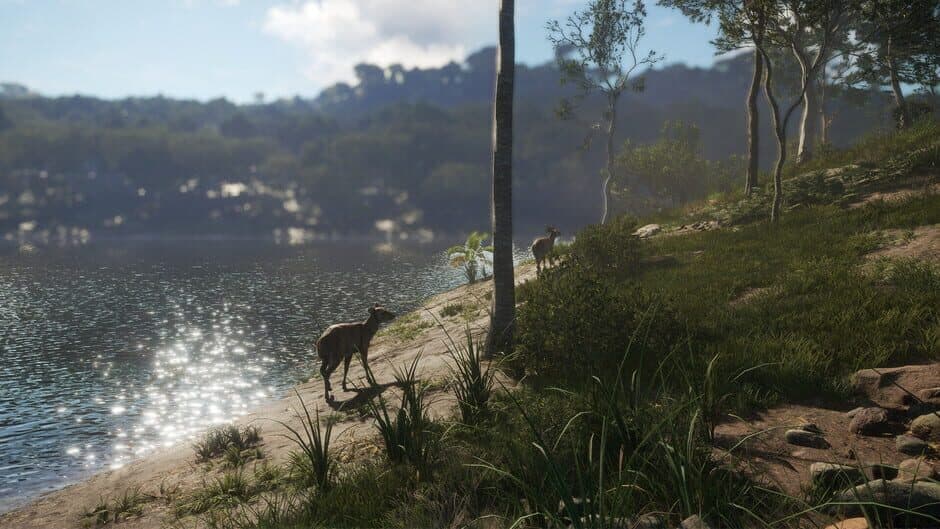 theHunter: Call of the Wild - Emerald Coast Australia screenshot 5
