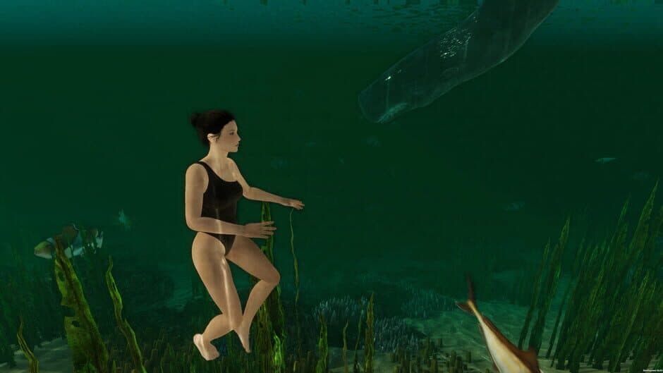 Island Notes screenshot 2