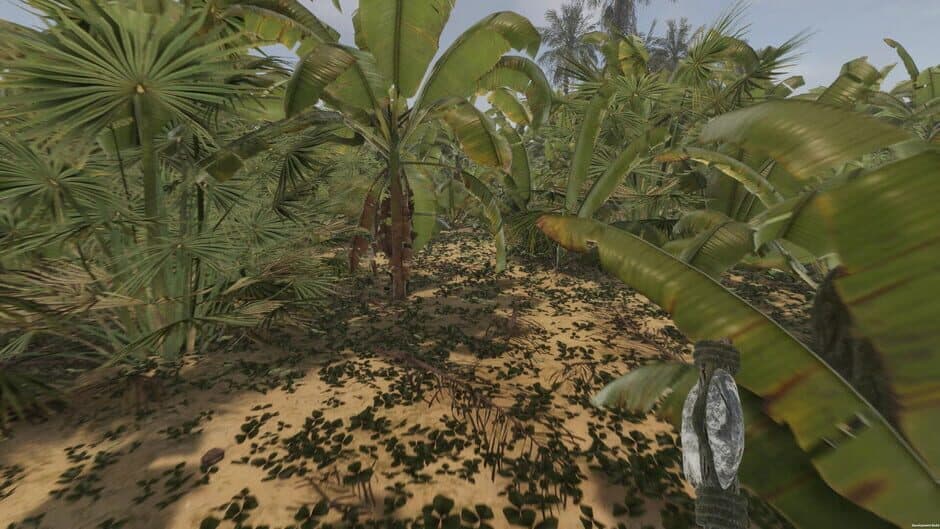 Island Notes screenshot 5