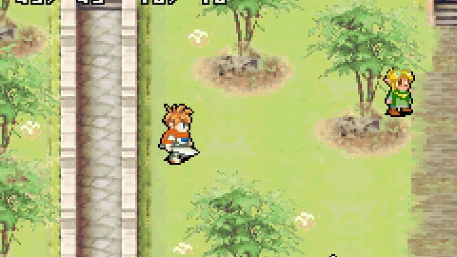 Shining Soul II screenshot 4