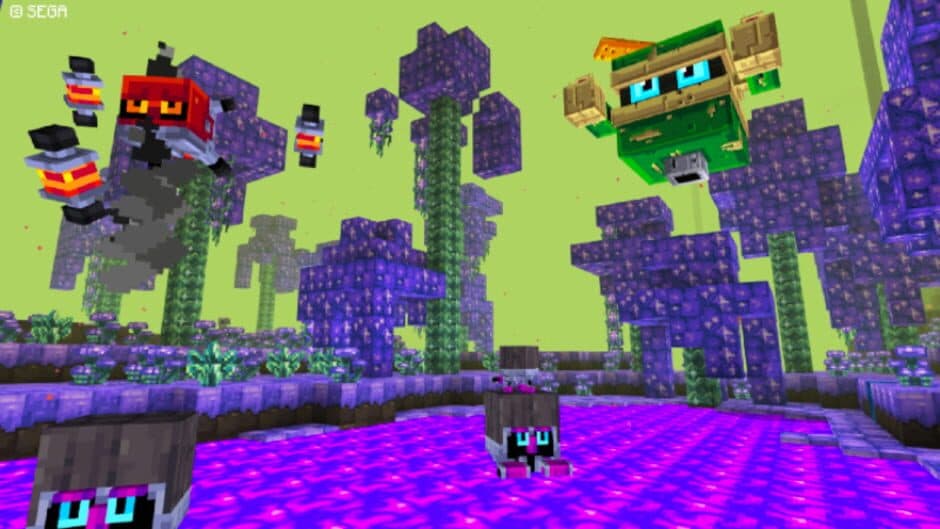 Minecraft: Sonic Texture Pack screenshot 3