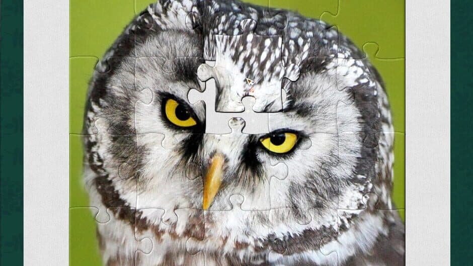 1001 Jigsaw: Earth Chronicles 6 screenshot 4