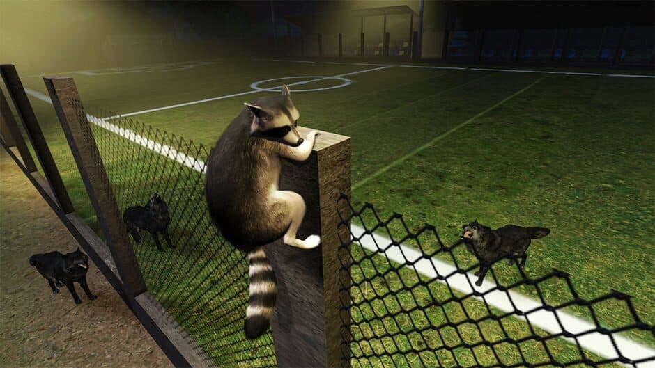 Raccoon Adventure screenshot 5
