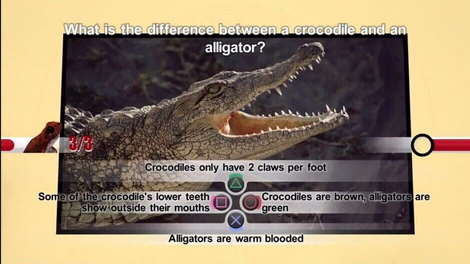 Nat Geo Challenge! Wild Life screenshot 4