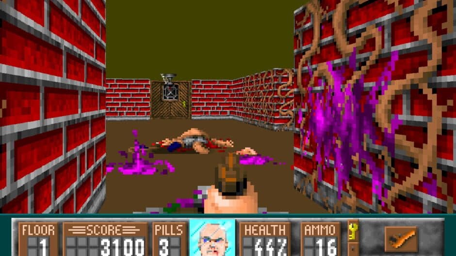 Oldfartenstein 3D screenshot 5