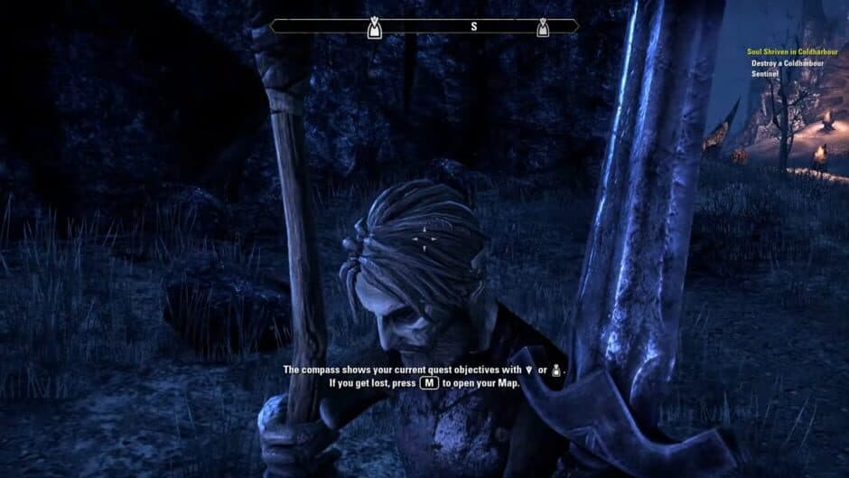 The Elder Scrolls Online: Premium Edition screenshot 1