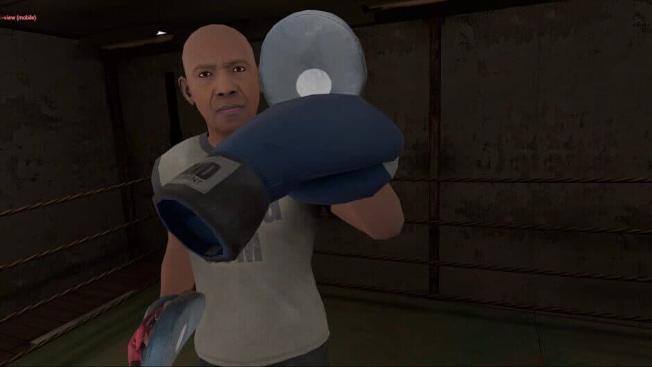 True Boxing VR screenshot 2