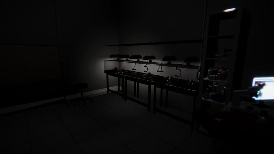 Persevera screenshot 5