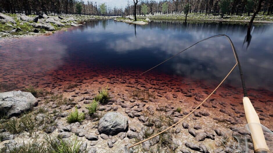 Fly Caster VR screenshot 5