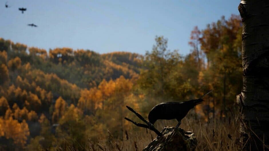 Flex Disc Golf screenshot 1