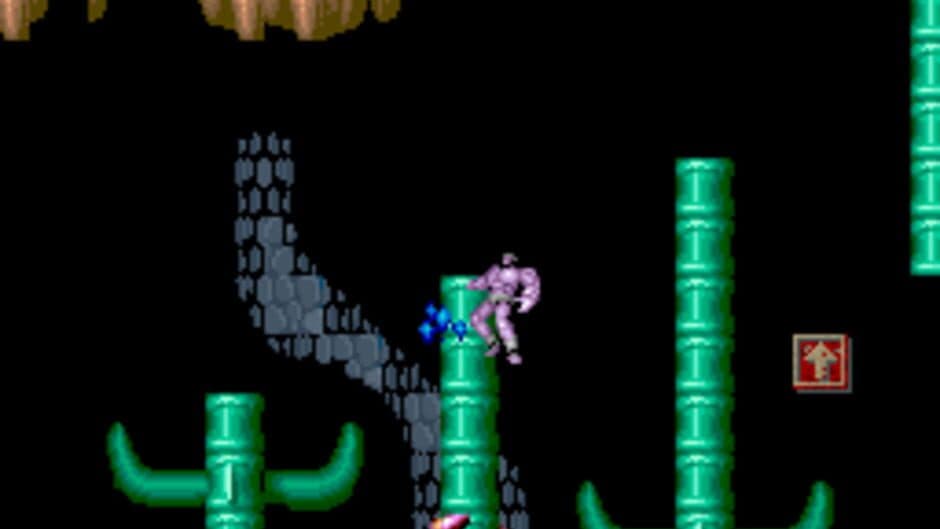 Black Tiger screenshot 6