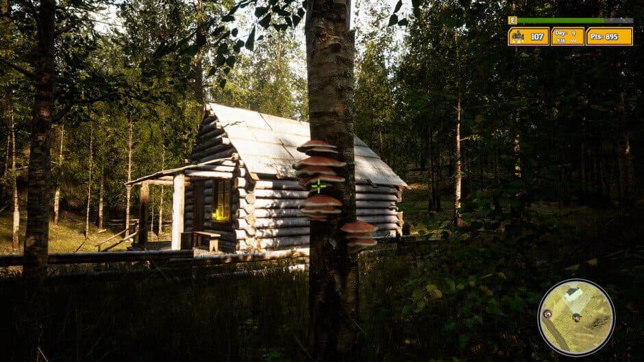 Morels: The Hunt 2 screenshot 5