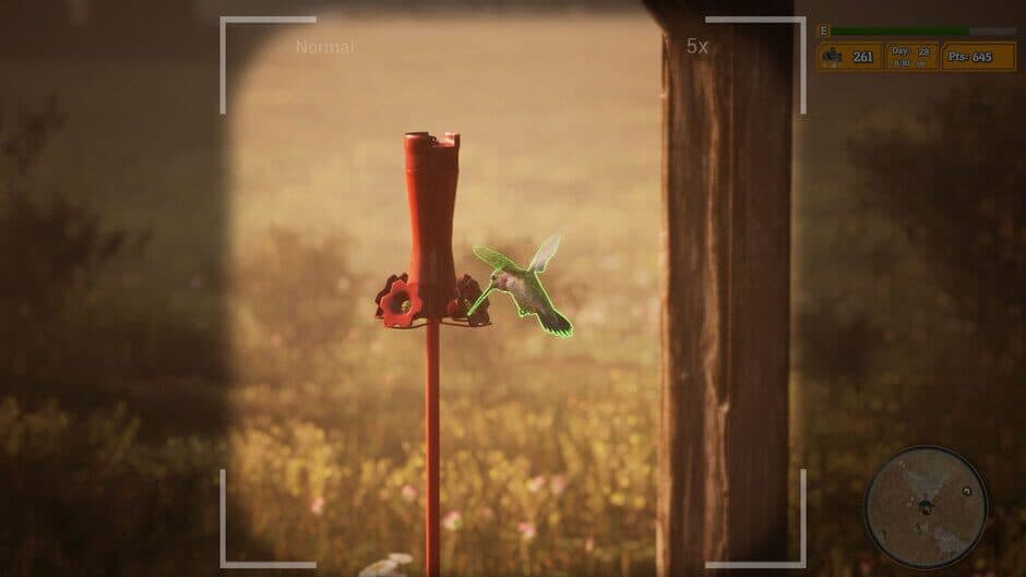 Morels: The Hunt 2 screenshot 1