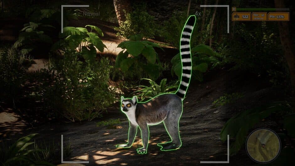 Morels: The Hunt 2 screenshot 2