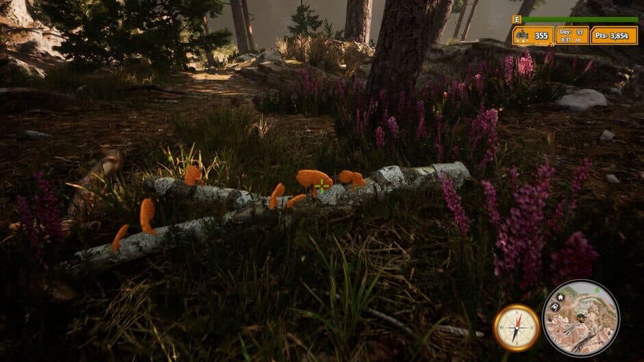 Morels: The Hunt 2 screenshot 3