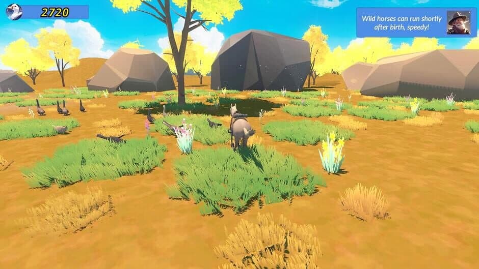 Meadow Gallop screenshot 1