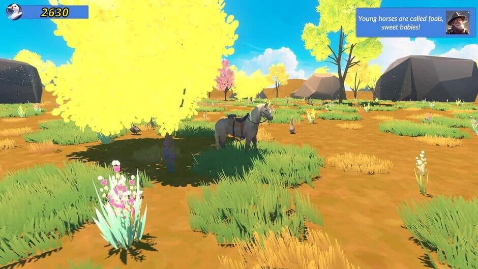 Meadow Gallop screenshot 4