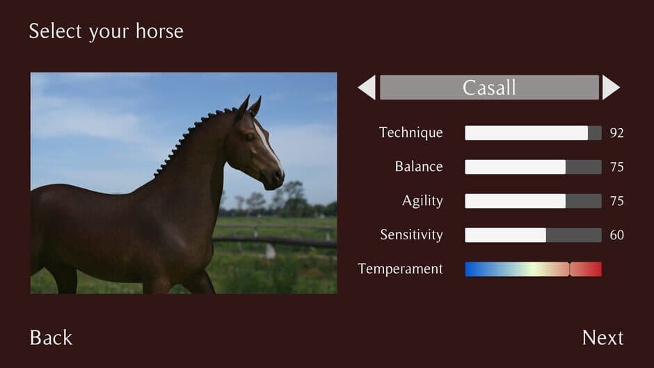 Pro Show Jumping screenshot 4