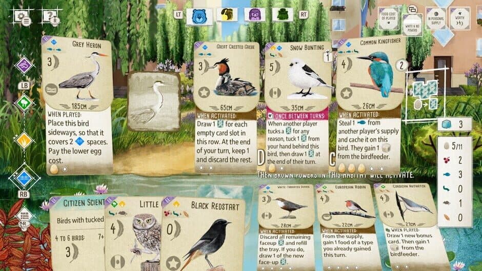 Wingspan + European Expansion + Oceania Expansion + Seasonal Decorative Pack screenshot 5