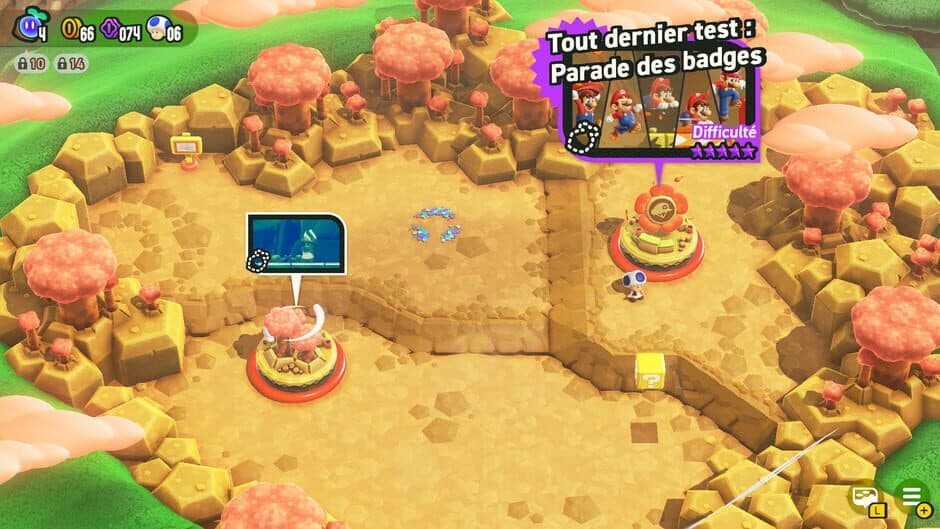 SMBW Randomizer screenshot 1