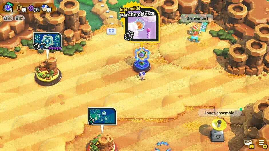 SMBW Randomizer screenshot 2