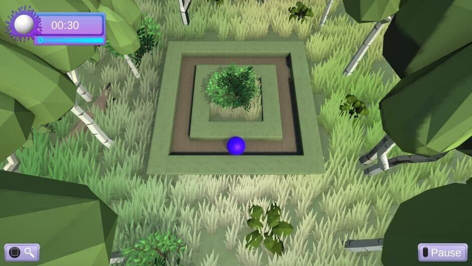 3D Color Labyrinth screenshot 4