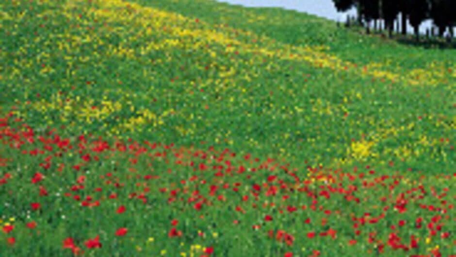 World of Dark screenshot 1