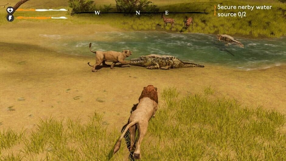 Lion Simulator Survival: RPG Animal Battle screenshot 3