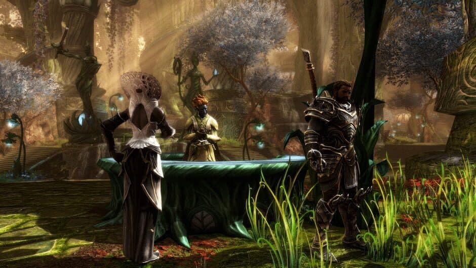 Kingdoms of Amalur: Re-Reckoning - Collector's Edition screenshot 3