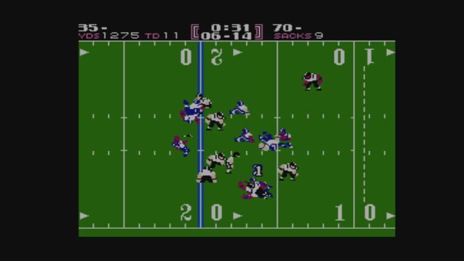 Tecmo Bowl screenshot 3