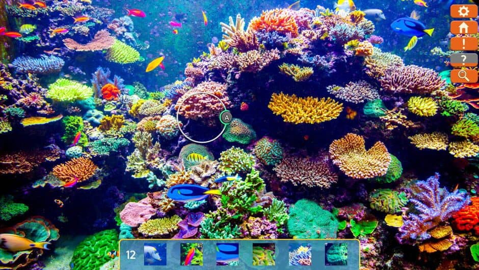 Just Find It: Collector's Edition screenshot 2