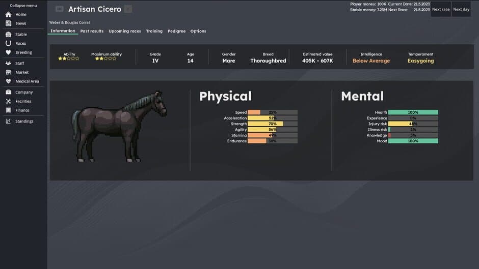 Horse Racing Manager screenshot 5