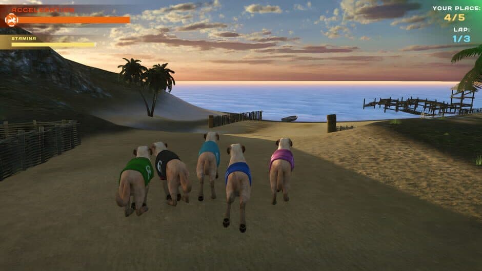 Dog Racing: Lovely Pet Friends Paw screenshot 5