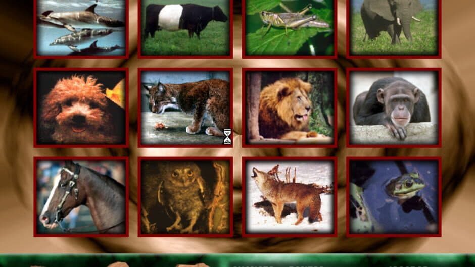 Angélica no Reino Animal screenshot 5