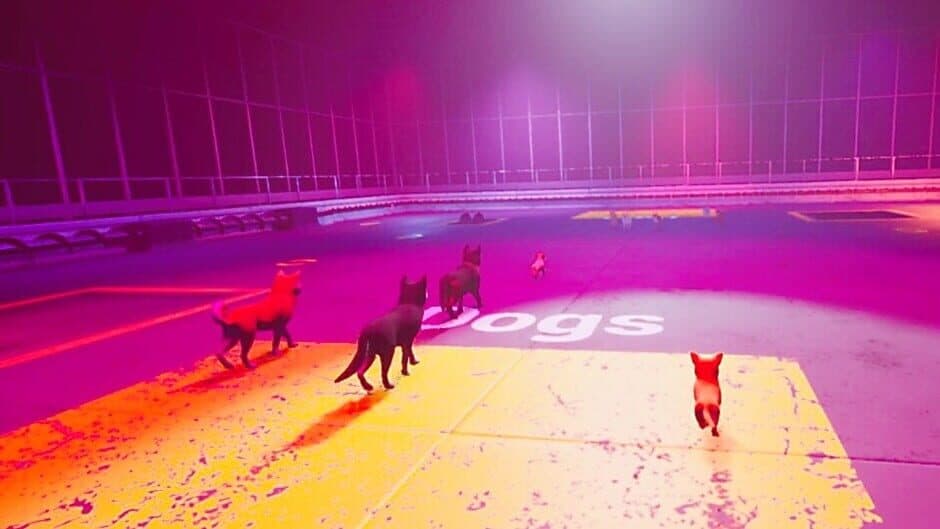 Claw Clash: Cat vs. Dog Betting screenshot 5