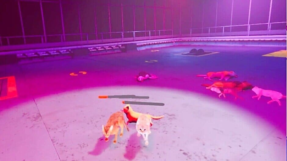 Claw Clash: Cat vs. Dog Betting screenshot 6