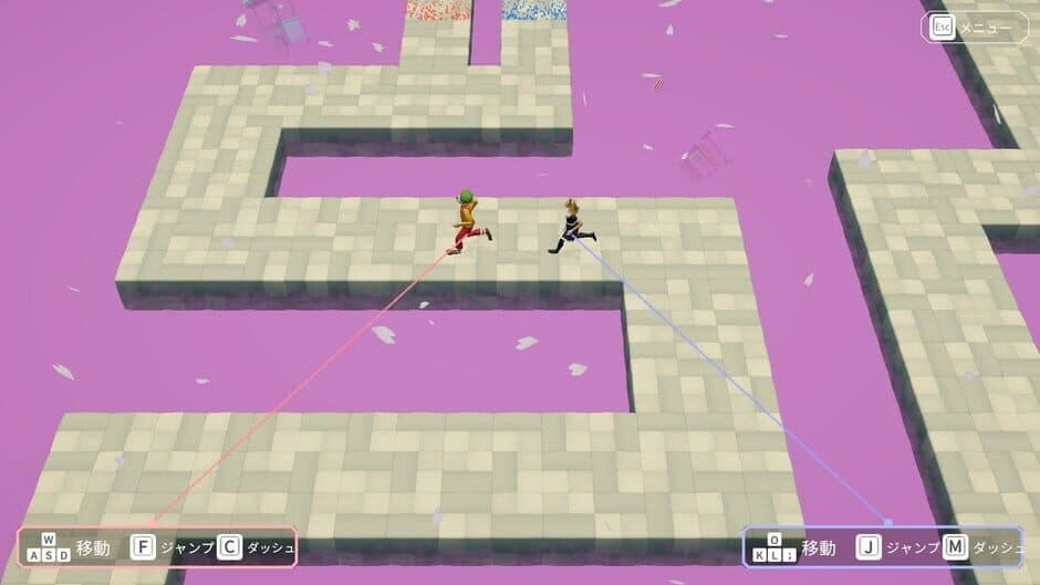 Hypotheses on the Symmetry between Vision and Hands screenshot 5