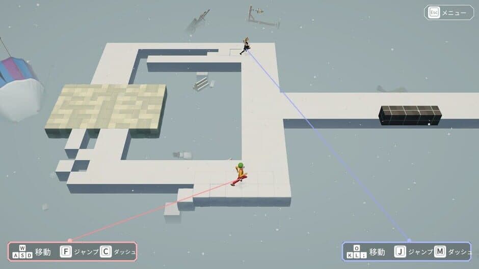 Hypotheses on the Symmetry between Vision and Hands screenshot 2