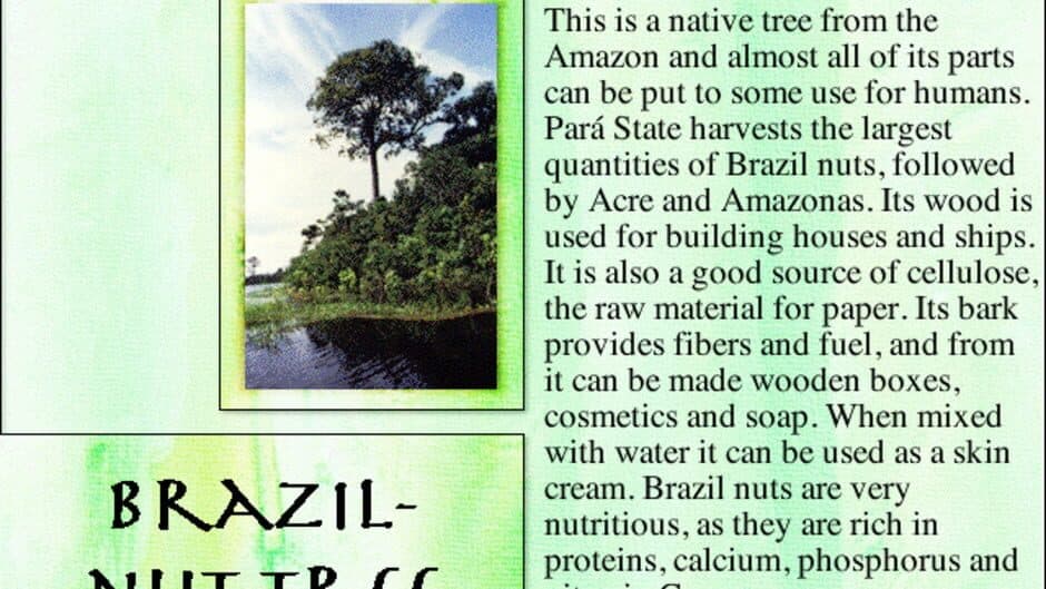 Lost in the Amazon screenshot 3