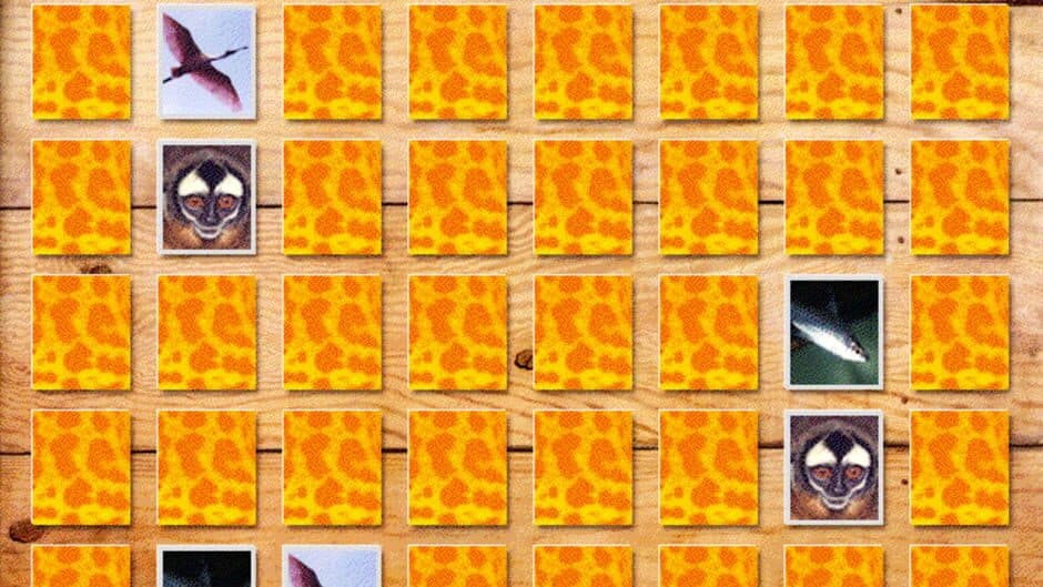 Lost in the Amazon screenshot 6