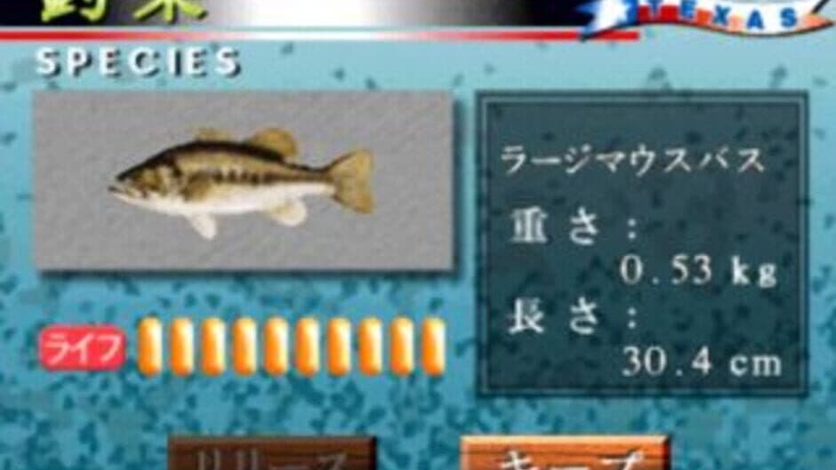 Bass Fisherman screenshot 1