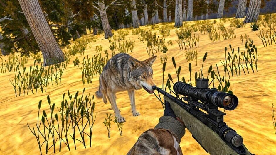 Animal Hunting 3D screenshot 3