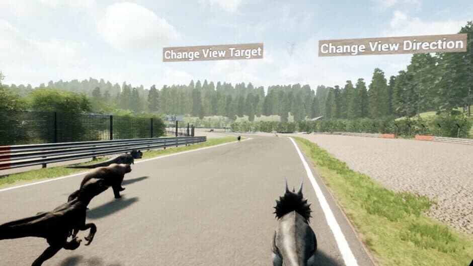 Animal Race Run VR screenshot 5