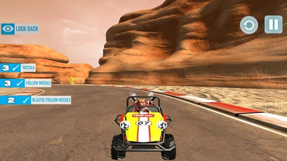 Karting with Animals screenshot 1
