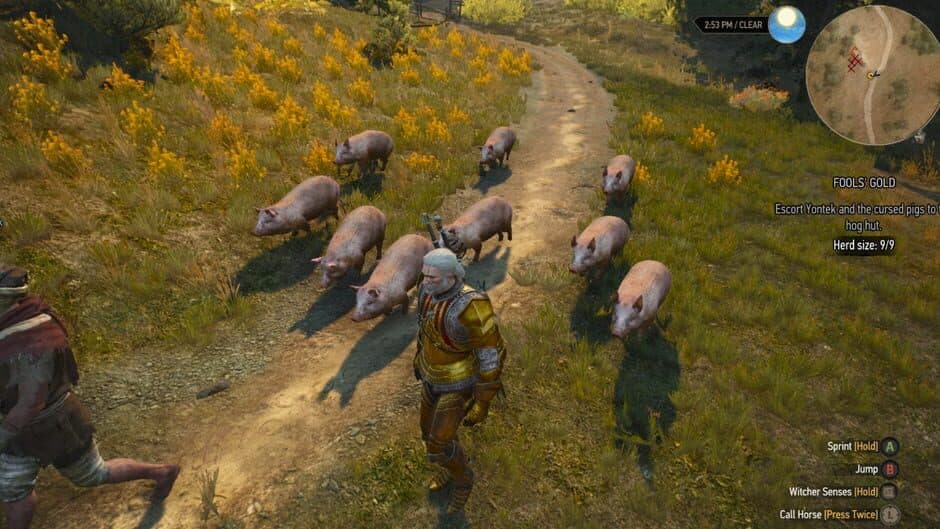 The Witcher 3: Wild Hunt - New Quest 'Fool's Gold' screenshot 2