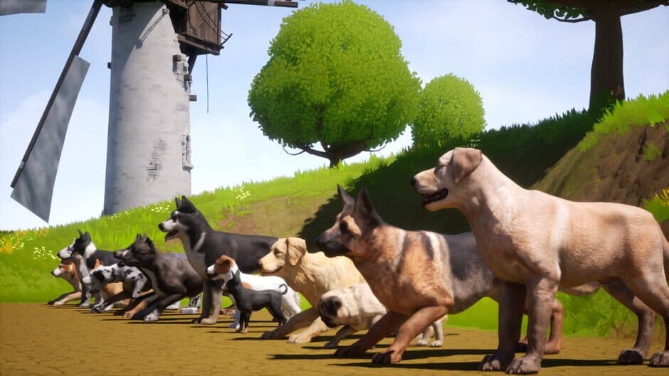 Dogs Club screenshot 3
