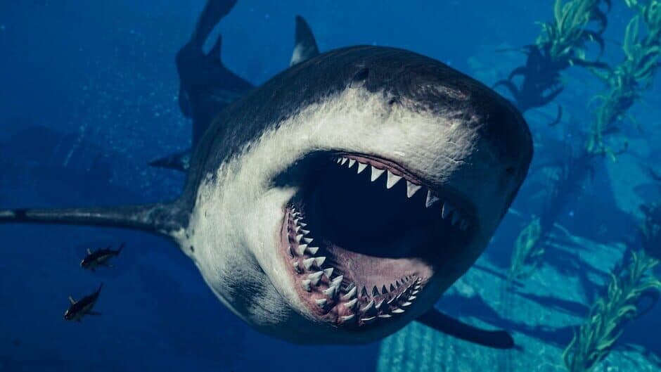 Jurassic World Evolution 2: Park Managers' Collection Pack screenshot 6